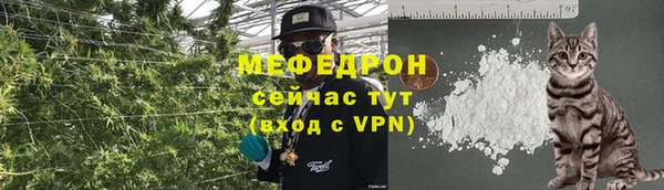 трава Арсеньев